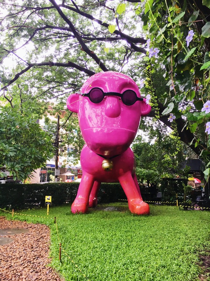 第一次来泰国不知道这5件事,第一次去旅游不知道去哪里好