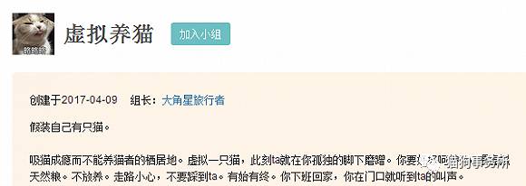 为什么猫可以让一个人的心情变好,猫能使人成熟的从来不是岁月