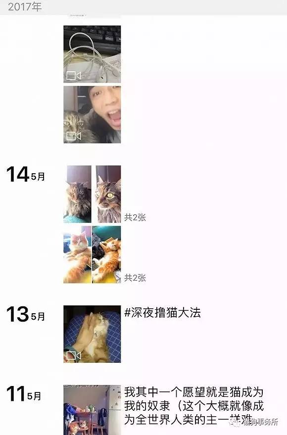 为什么猫可以让一个人的心情变好,猫能使人成熟的从来不是岁月