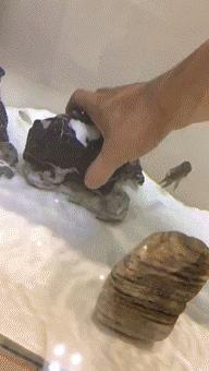 中国的足球gif,足球精彩瞬间gif