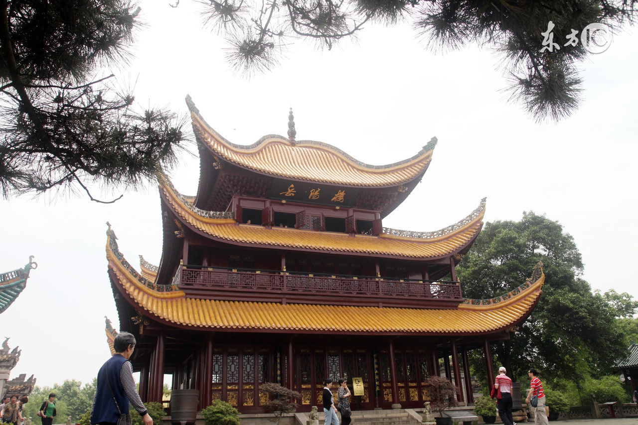 寰簵淇＄敤鍗℃墜缁垂,寰簵骞冲彴淇＄敤鍗℃墜缁垂