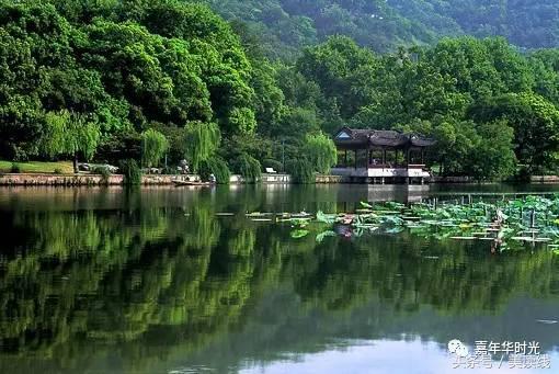 最好的风景在路上正文：查君书《寄情西子湖畔》