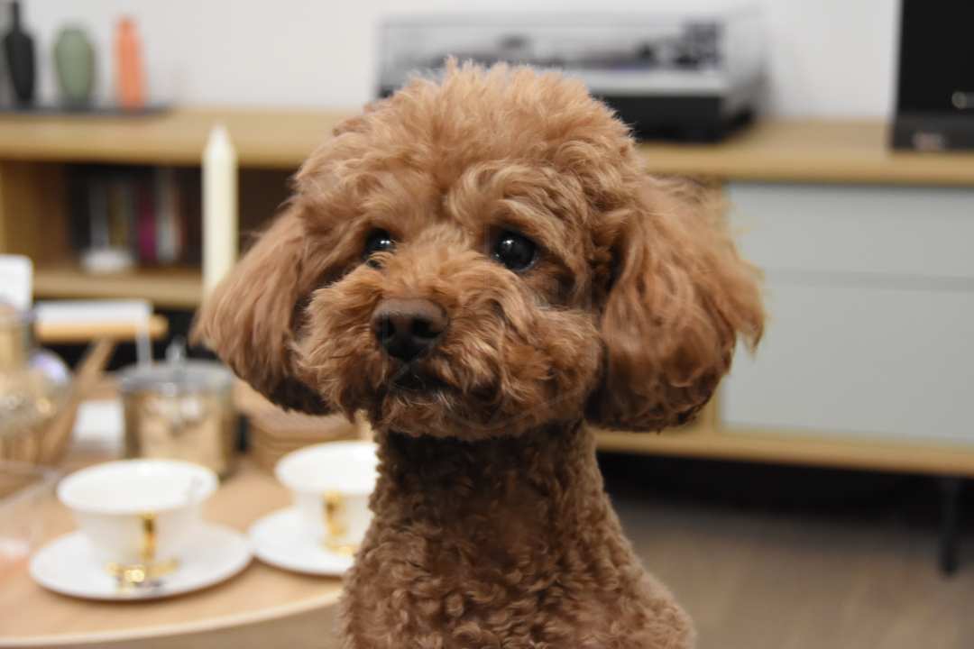 谁说装修非要北欧风工业水泥墙面引来迷妹一堆大爱北非风的卫浴间