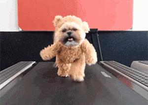 跑步机没效果,跑步机没力是咋回事