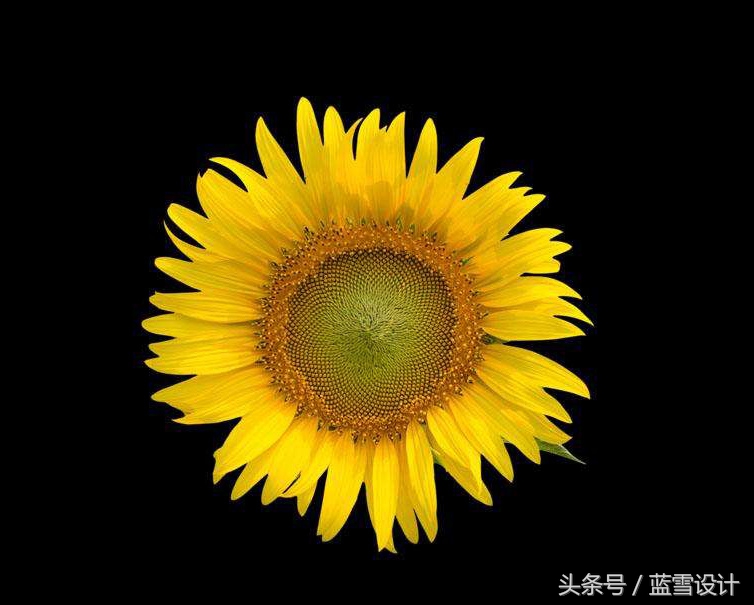 背景杂乱ps抠图方法,ps黑色背景黑色衣服抠图