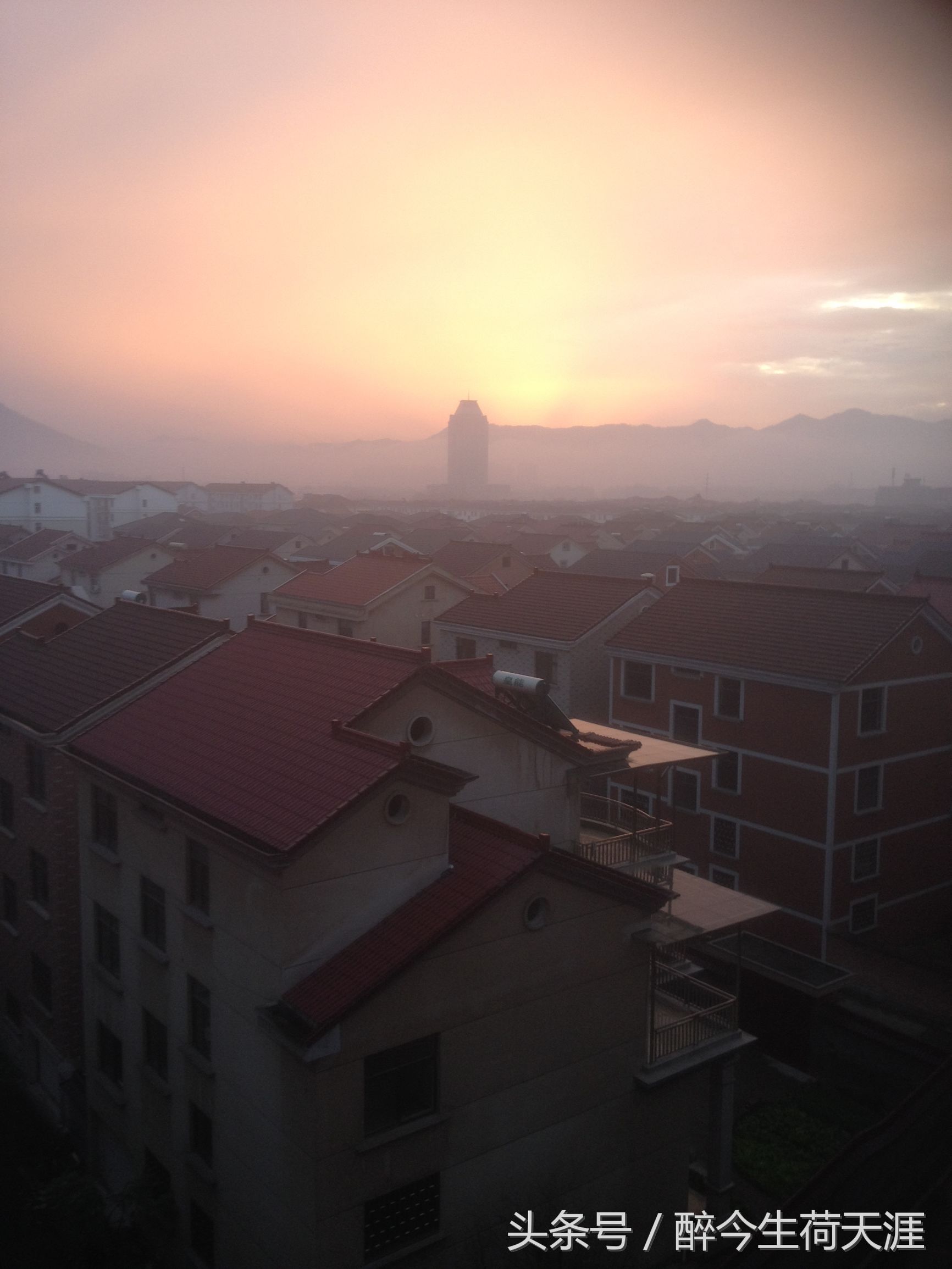 庙里有老鼠拜佛的视频,寺庙供奉老鼠图片