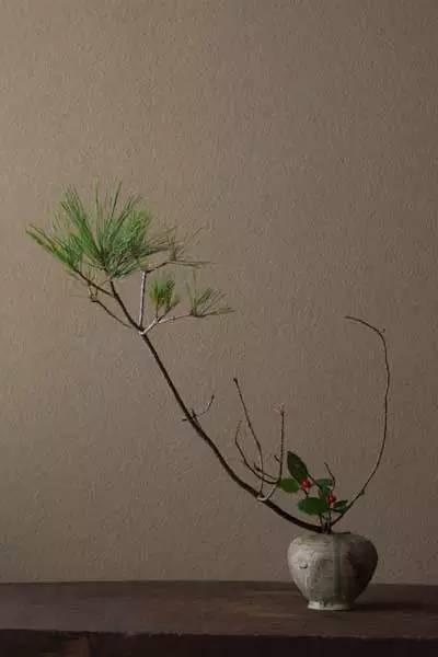 开到荼蘼花事了|川濑敏郎《一日一花》