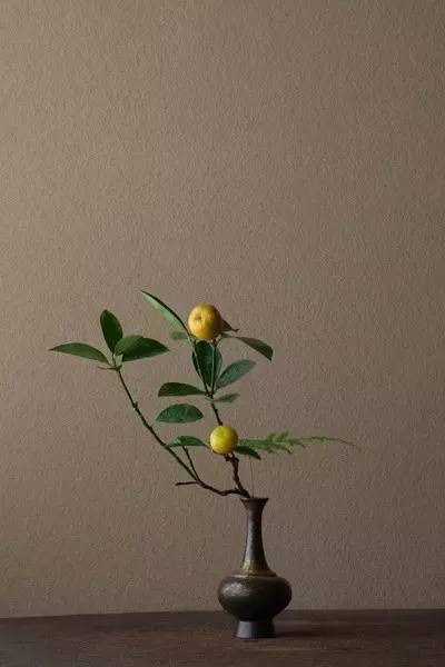 开到荼蘼花事了|川濑敏郎《一日一花》