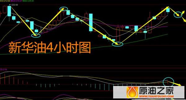 国际油价大跌西方石油,石油暴跌油价为什么涨