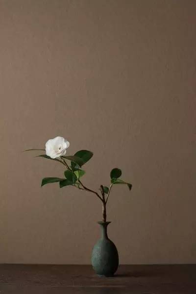 开到荼蘼花事了|川濑敏郎《一日一花》