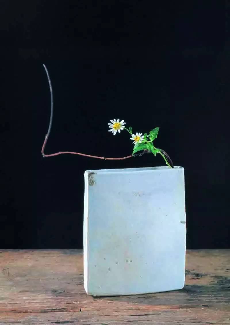 开到荼蘼花事了|川濑敏郎《一日一花》