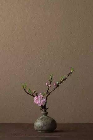 开到荼蘼花事了|川濑敏郎《一日一花》