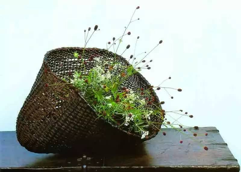 开到荼蘼花事了|川濑敏郎《一日一花》