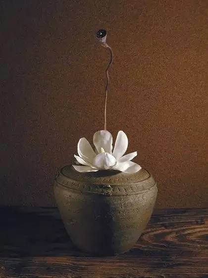 开到荼蘼花事了|川濑敏郎《一日一花》