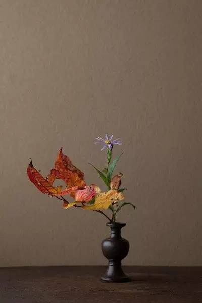 开到荼蘼花事了|川濑敏郎《一日一花》