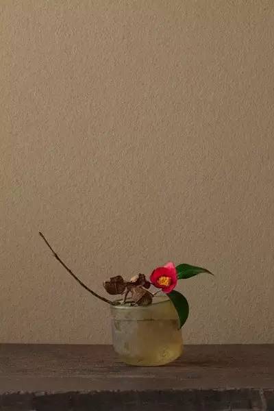 开到荼蘼花事了|川濑敏郎《一日一花》