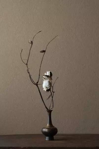 开到荼蘼花事了|川濑敏郎《一日一花》