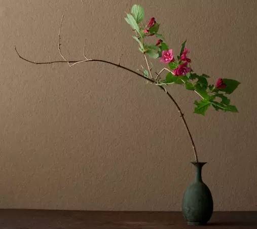 开到荼蘼花事了|川濑敏郎《一日一花》