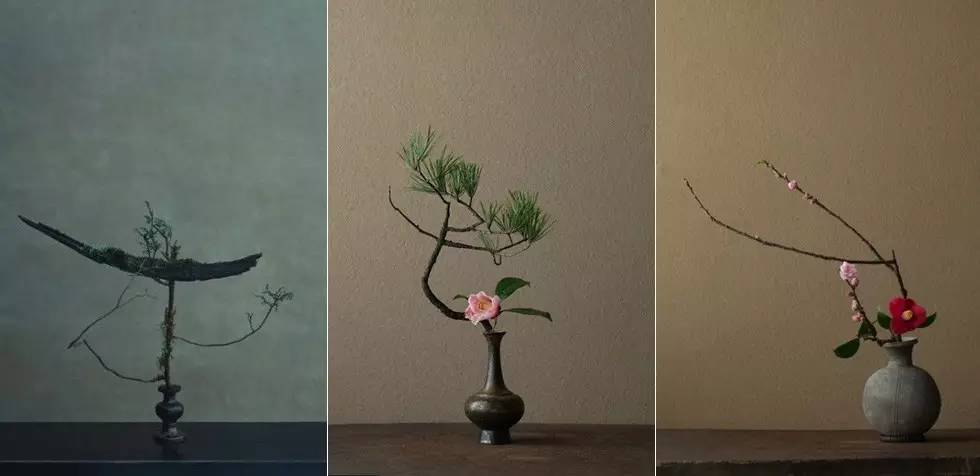 开到荼蘼花事了|川濑敏郎《一日一花》