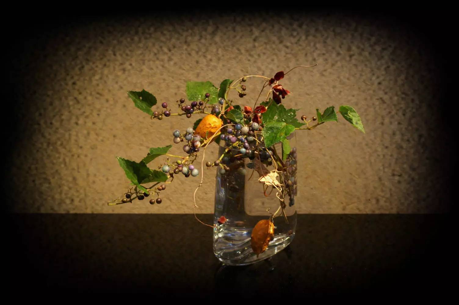 开到荼蘼花事了|川濑敏郎《一日一花》