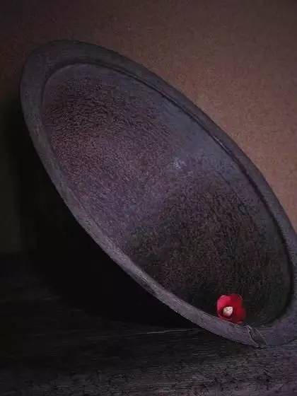 开到荼蘼花事了|川濑敏郎《一日一花》