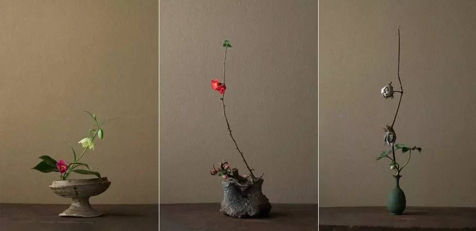 开到荼蘼花事了|川濑敏郎《一日一花》