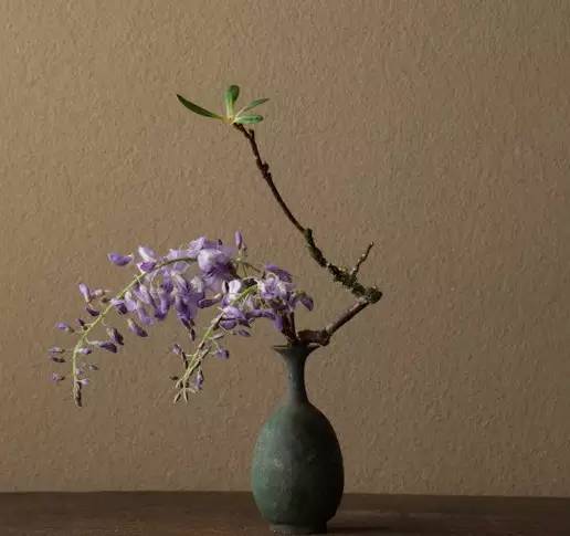 开到荼蘼花事了|川濑敏郎《一日一花》