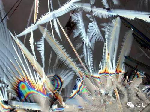 2月25日是好日子吗,2月25日有什么含义呢