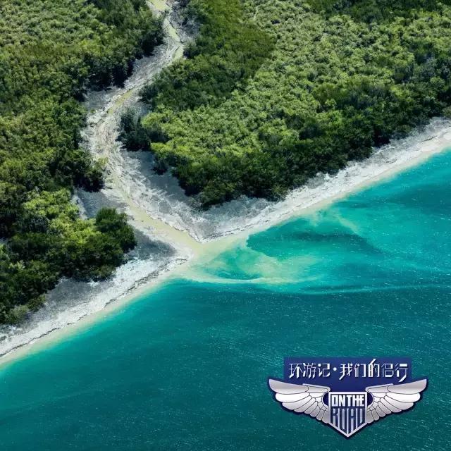 侣行的封面,侣行塞拉利昂是哪一期