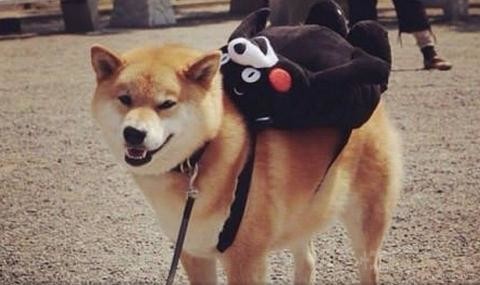 舔第二碗时，丈母娘拉我的手说：放这儿吧！等下我来洗