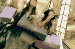 连云港生活是怎样一种感受,在连云港生活的感受