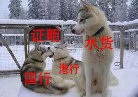 港行水货怎么区分,怎么区别11pro国行港行水货