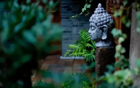 这对60后夫妻不惜卖掉公司，只为一间100多岁的白族老宅，连剑桥教授、《国家地理》都被他们吸粉