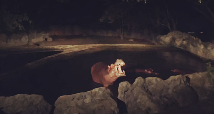 第一次来泰国不知道这5件事,第一次去旅游不知道去哪里好