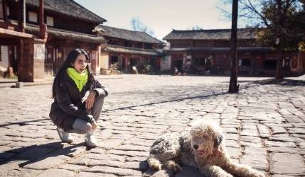 这对60后夫妻不惜卖掉公司，只为一间100多岁的白族老宅，连剑桥教授、《国家地理》都被他们吸粉