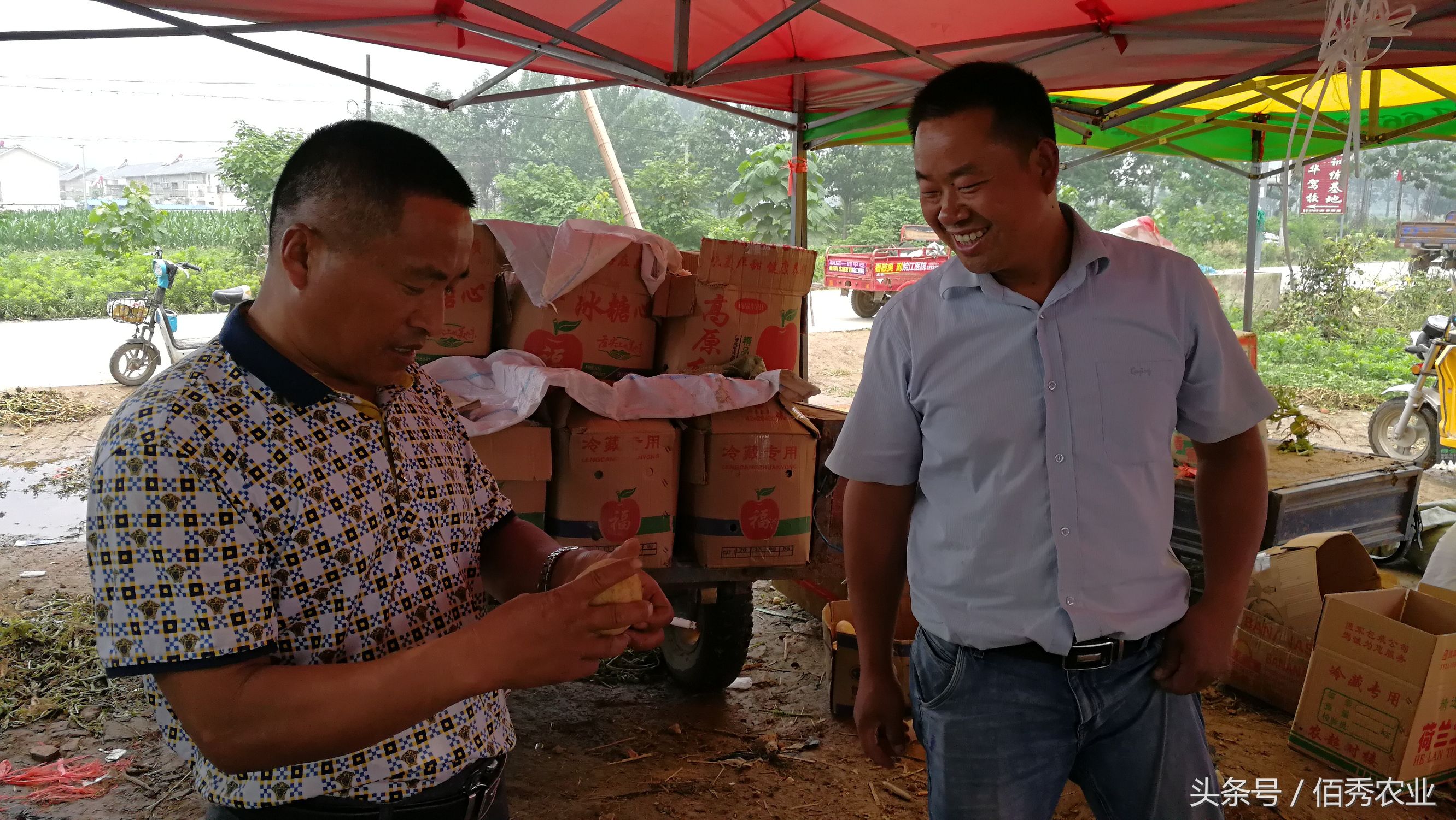 十大农村小生意,适合农村小生意推荐