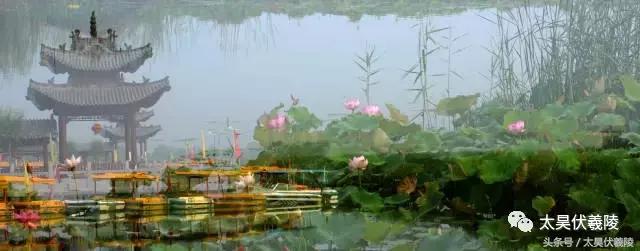 淮阳龙湖风景区荷花节,淮阳龙湖风景区荷花盛开时期