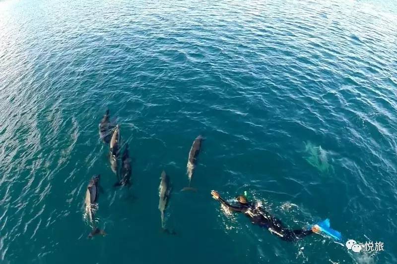 毛里求斯免签,毛里求斯在中国免签停留时间