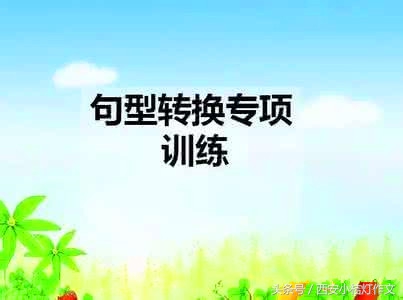 小学语文句型转换方法及技巧视频,四年级小学语文句型转换书籍