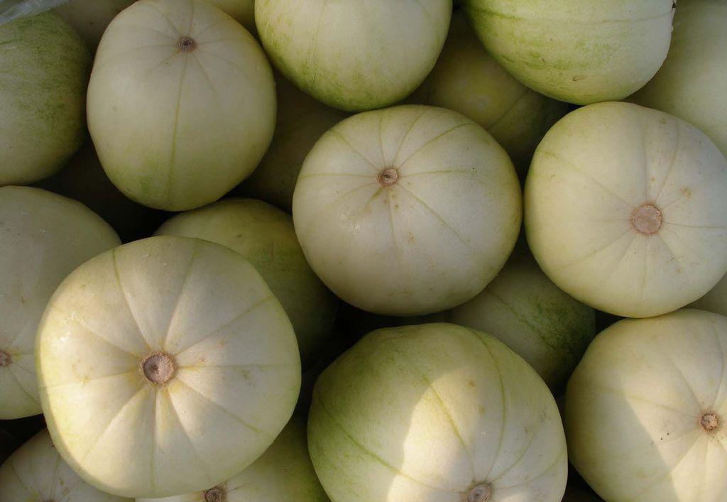 护心养肝清肺中药,保肝抗癌最好的中药