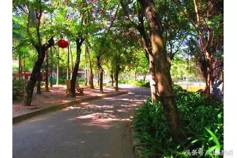 汕头十大公园,汕头公园免费排行榜