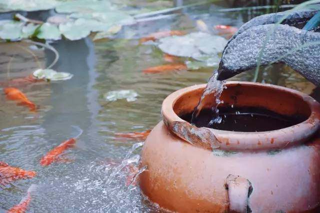 西安最美观景餐厅10人餐,西安国宝博物馆主题餐厅