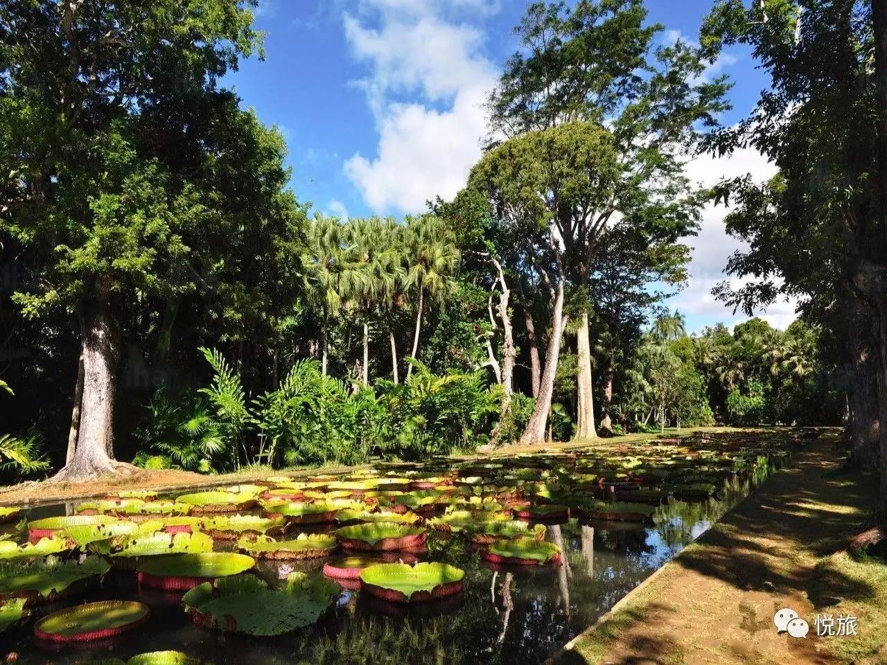 毛里求斯免签,毛里求斯在中国免签停留时间