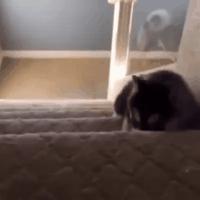 手写搞笑幽默段子文字,热门的幽默搞笑手写段子