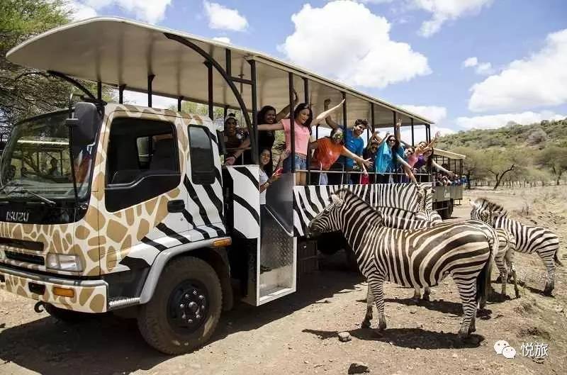 毛里求斯免签,毛里求斯在中国免签停留时间