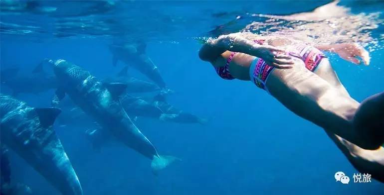 毛里求斯免签,毛里求斯在中国免签停留时间