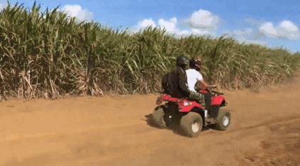 毛里求斯免签,毛里求斯在中国免签停留时间