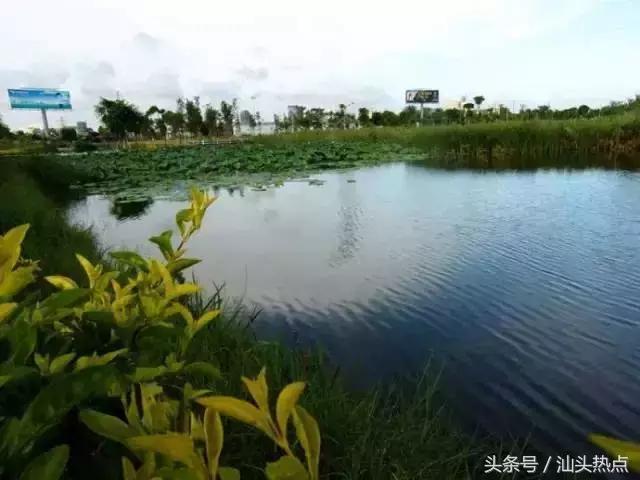 汕头十大公园,汕头公园免费排行榜