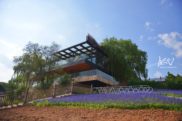 紫塞京津冀13城农家院旅游探店五：金海湖两日悠闲散记山里红农家