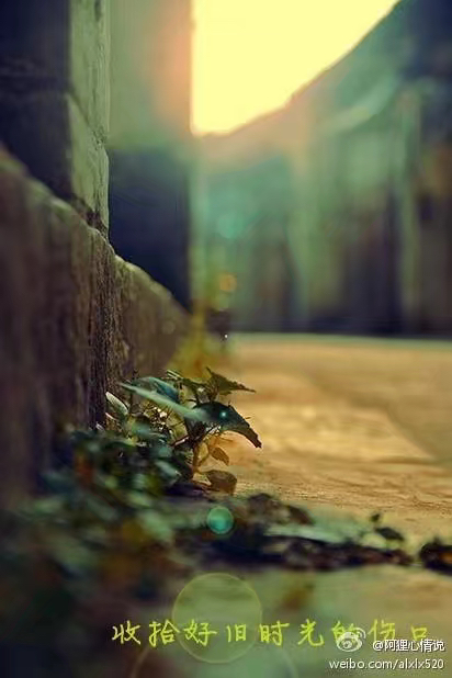 你别来我就无恙的含义,别来无恙再见亦无恙是什么意思